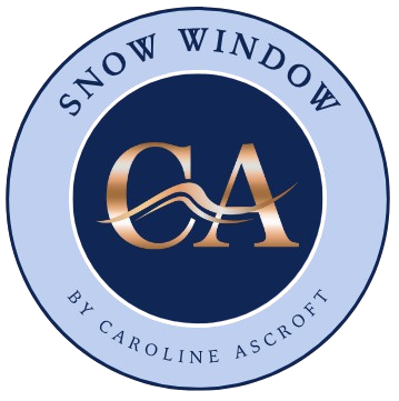 Professional Snow Windows